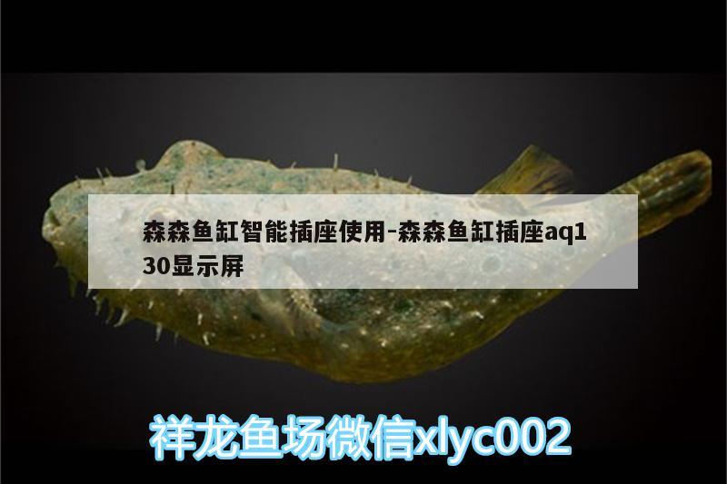 森森鱼缸智能插座使用:森森鱼缸插座aq130显示屏 泰庞海鲢鱼