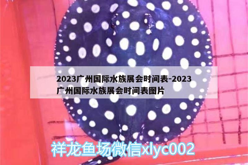 2023广州国际水族展会时间表:2023广州国际水族展会时间表图片