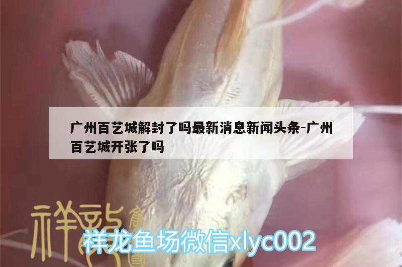 广州百艺城解封了吗最新消息新闻头条:广州百艺城开张了吗 白写锦鲤鱼