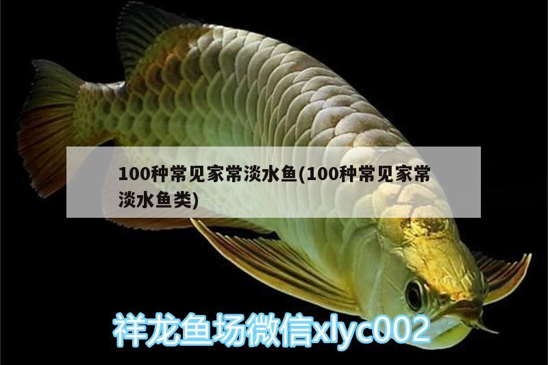 100种常见家常淡水鱼(100种常见家常淡水鱼类) 帝王血钻鱼