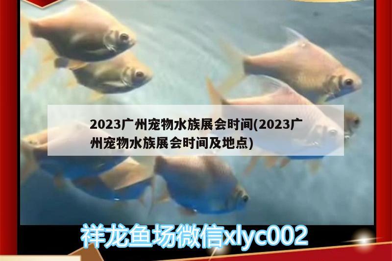 2023广州宠物水族展会时间(2023广州宠物水族展会时间及地点) 水族展会