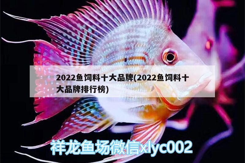 2022鱼饲料十大品牌(2022鱼饲料十大品牌排行榜) 短身红龙鱼