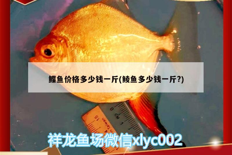 鲽鱼价格多少钱一斤(鲮鱼多少钱一斤?)