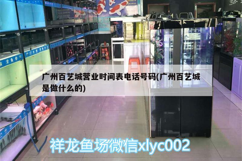广州百艺城营业时间表电话号码(广州百艺城是做什么的) 广州水族器材滤材批发市场