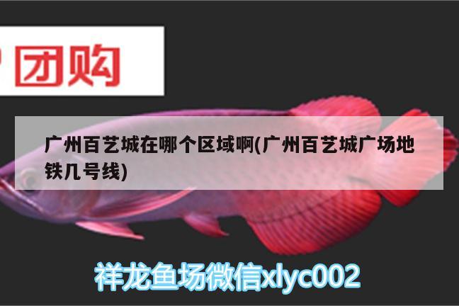 广州百艺城在哪个区域啊(广州百艺城广场地铁几号线) 鱼缸水质稳定剂