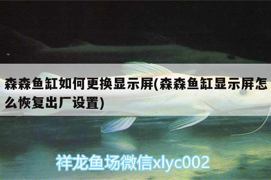 森森鱼缸如何更换显示屏(森森鱼缸显示屏怎么恢复出厂设置) 财神鹦鹉鱼