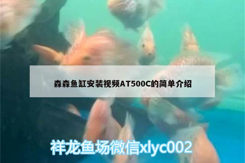 森森鱼缸安装视频AT500C的简单介绍 其它水族用具设备