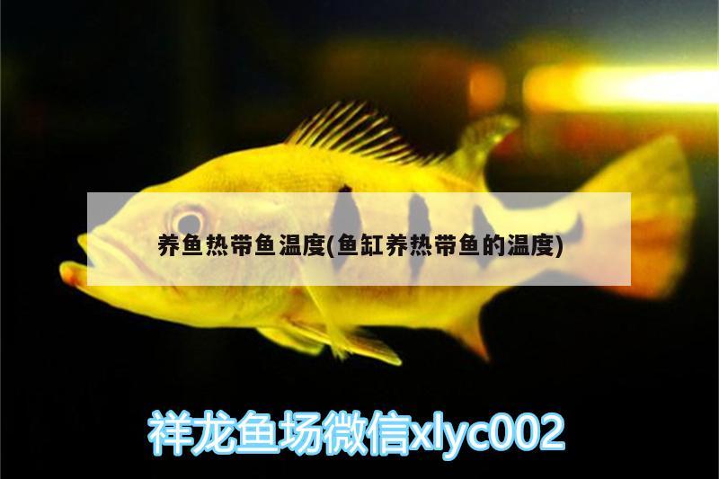 养鱼热带鱼温度(鱼缸养热带鱼的温度) 红白锦鲤鱼