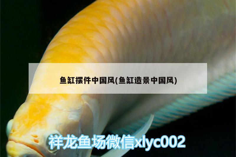 鱼缸摆件中国风(鱼缸造景中国风) 广州观赏鱼鱼苗批发市场