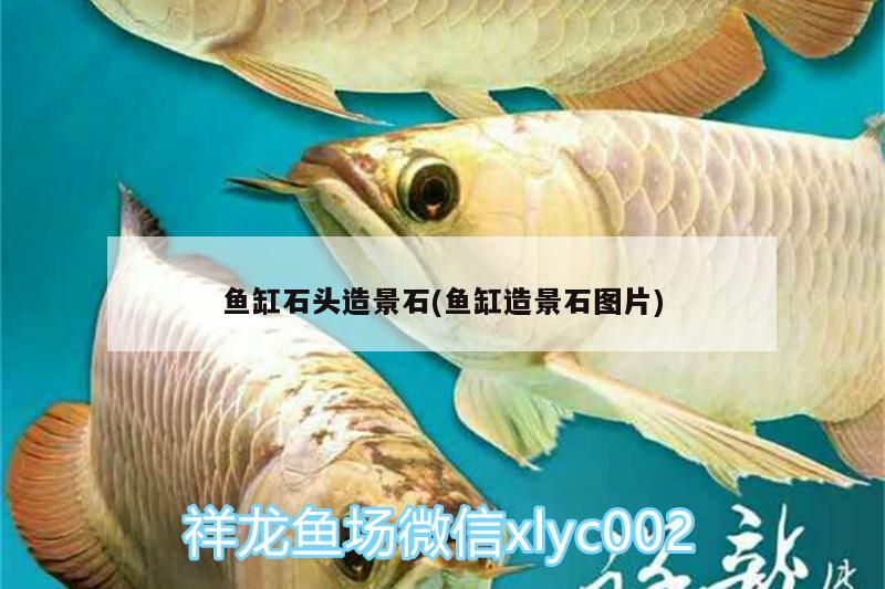 鱼缸石头造景石(鱼缸造景石图片) 三色锦鲤鱼