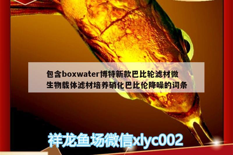包含boxwater博特新款巴比轮滤材微生物载体滤材培养硝化巴比伦降噪的词条