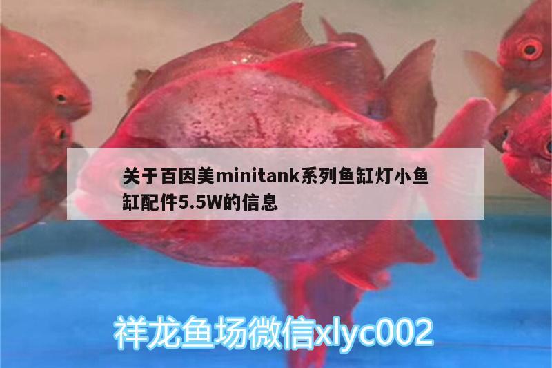 关于百因美minitank系列鱼缸灯小鱼缸配件5.5W的信息