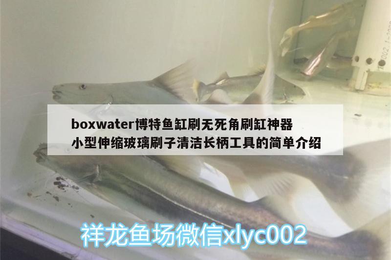 boxwater博特鱼缸刷无死角刷缸神器小型伸缩玻璃刷子清洁长柄工具的简单介绍 博特水族