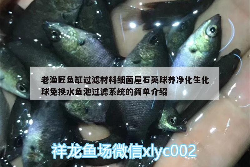 老渔匠鱼缸过滤材料细菌屋石英球养净化生化球免换水鱼池过滤系统的简单介绍 广州水族器材滤材批发市场