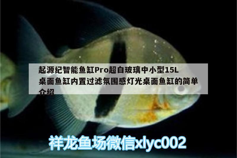 起源纪智能鱼缸Pro超白玻璃中小型15L桌面鱼缸内置过滤氛围感灯光桌面鱼缸的简单介绍 广州水族器材滤材批发市场