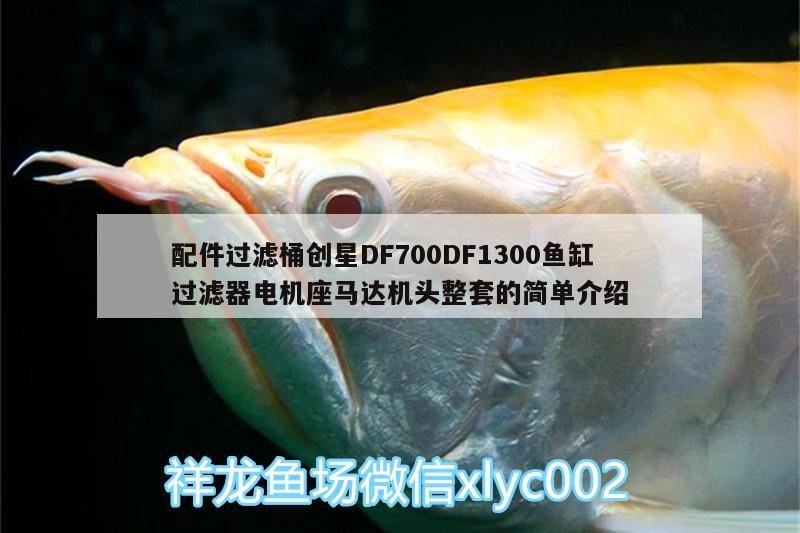 配件过滤桶创星DF700DF1300鱼缸过滤器电机座马达机头整套的简单介绍 广州水族器材滤材批发市场