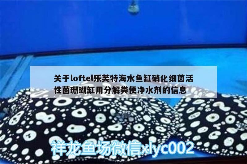 关于loftel乐芙特海水鱼缸硝化细菌活性菌珊瑚缸用分解粪便净水剂的信息 海水鱼