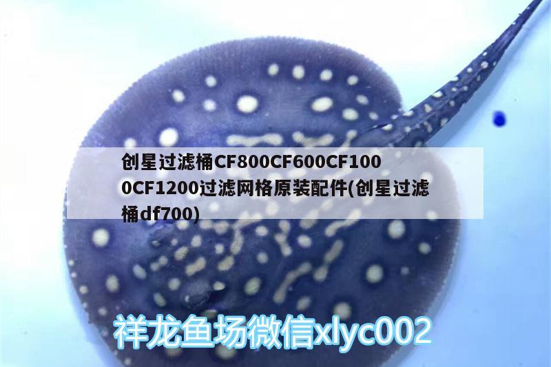 创星过滤桶CF800CF600CF1000CF1200过滤网格原装配件(创星过滤桶df700)