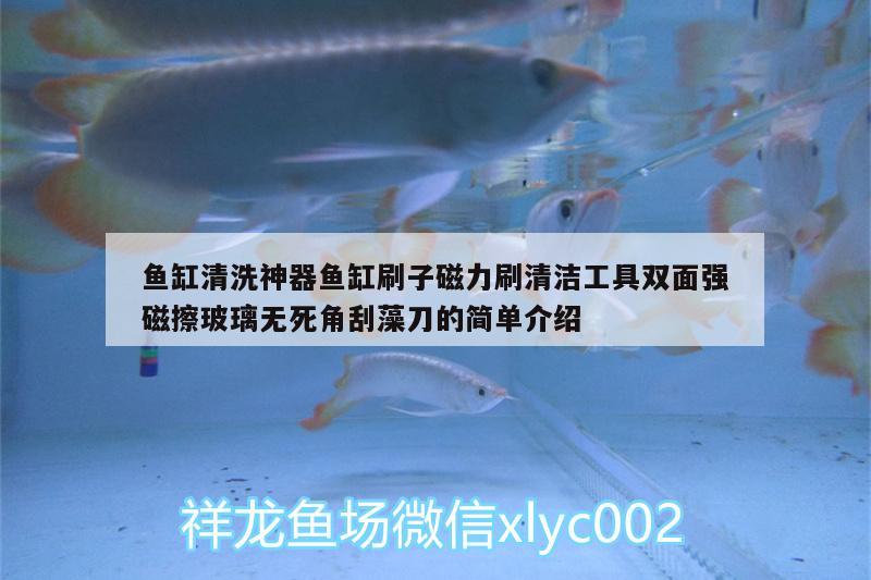 鱼缸清洗神器鱼缸刷子磁力刷清洁工具双面强磁擦玻璃无死角刮藻刀的简单介绍 广州水族器材滤材批发市场