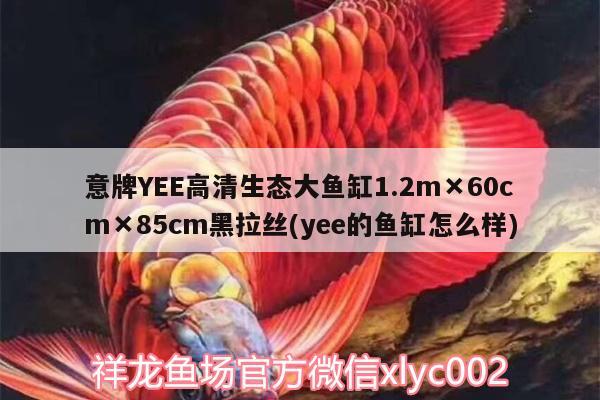 意牌YEE高清生态大鱼缸1.2m×60cm×85cm黑拉丝(yee的鱼缸怎么样) yee