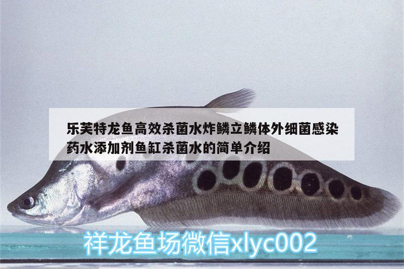 乐芙特龙鱼高效杀菌水炸鳞立鳞体外细菌感染药水添加剂鱼缸杀菌水的简单介绍