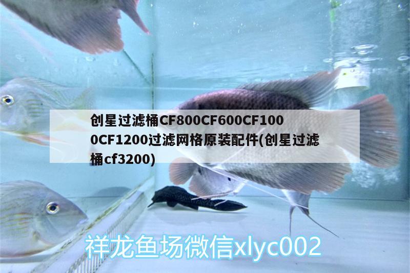 创星过滤桶CF800CF600CF1000CF1200过滤网格原装配件(创星过滤桶cf3200)