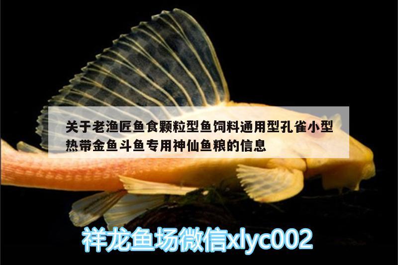 关于老渔匠鱼食颗粒型鱼饲料通用型孔雀小型热带金鱼斗鱼专用神仙鱼粮的信息