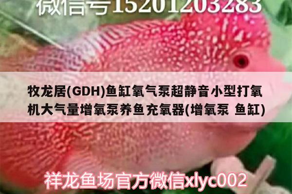 牧龙居(GDH)鱼缸氧气泵超静音小型打氧机大气量增氧泵养鱼充氧器(增氧泵鱼缸)