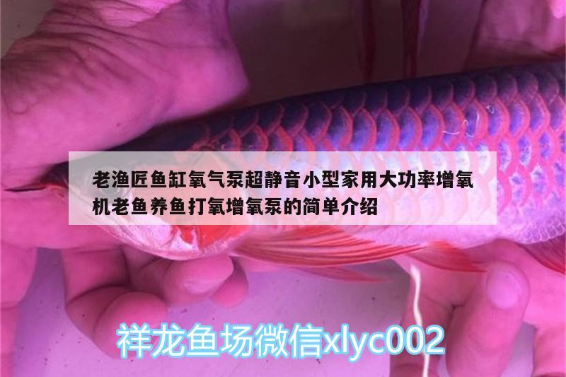 老渔匠鱼缸氧气泵超静音小型家用大功率增氧机老鱼养鱼打氧增氧泵的简单介绍 广州水族器材滤材批发市场