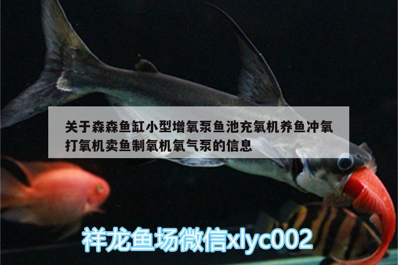关于森森鱼缸小型增氧泵鱼池充氧机养鱼冲氧打氧机卖鱼制氧机氧气泵的信息 广州水族器材滤材批发市场