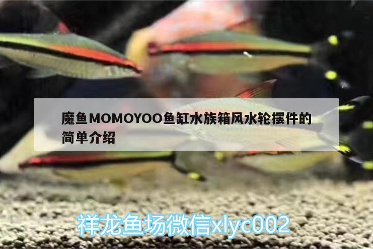 魔鱼MOMOYOO鱼缸水族箱风水轮摆件的简单介绍 鱼缸风水 第2张