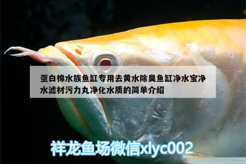 蛋白棉水族鱼缸专用去黄水除臭鱼缸净水宝净水滤材污力丸净化水质的简单介绍 广州水族器材滤材批发市场