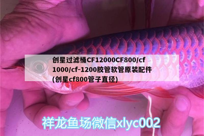 创星过滤桶CF12000CF800/cf1000/cf-1200胶管软管原装配件(创星cf800管子直径) 广州水族器材滤材批发市场