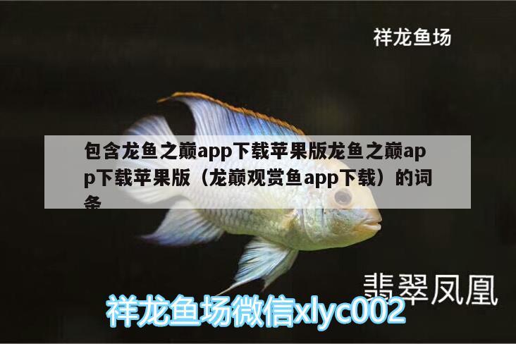 包含龙鱼之巅app下载苹果版龙鱼之巅app下载苹果版（龙巅观赏鱼app下载）的词条