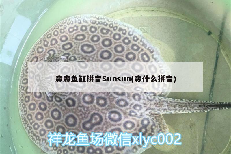 森森鱼缸拼音Sunsun(森什么拼音)