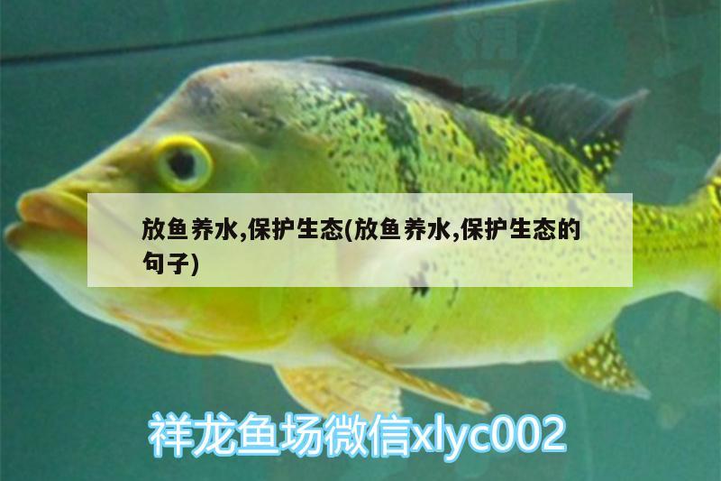 放鱼养水,保护生态(放鱼养水,保护生态的句子)