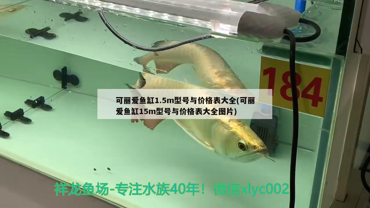 可丽爱鱼缸1.5m型号与价格表大全(可丽爱鱼缸15m型号与价格表大全图片) 白子银版鱼苗