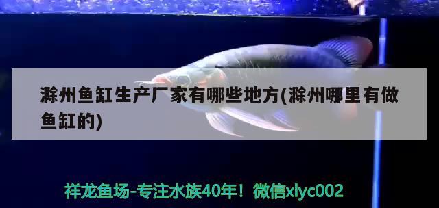 滁州鱼缸生产厂家有哪些地方(滁州哪里有做鱼缸的)