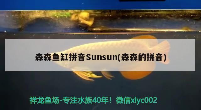 森森鱼缸拼音Sunsun(森森的拼音)