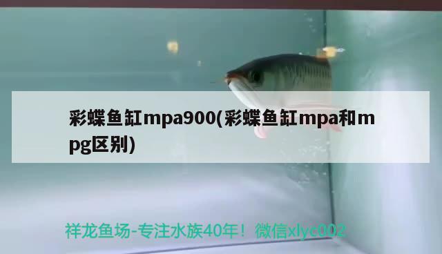 彩蝶鱼缸mpa900(彩蝶鱼缸mpa和mpg区别)