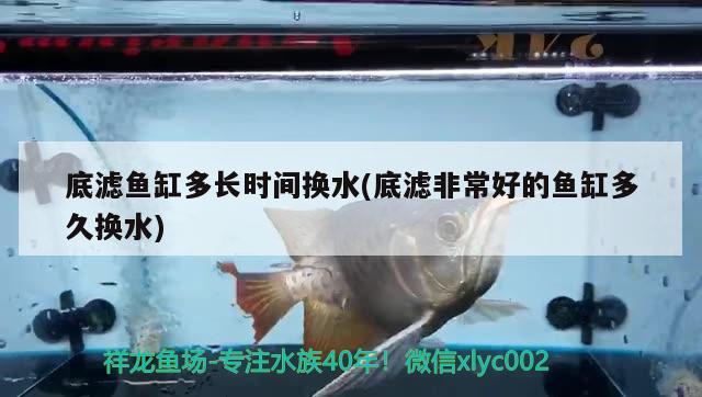 底滤鱼缸多长时间换水(底滤非常好的鱼缸多久换水) 广州祥龙国际水族贸易