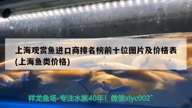 上海观赏鱼进口商排名榜前十位图片及价格表(上海鱼类价格) 观赏鱼进出口