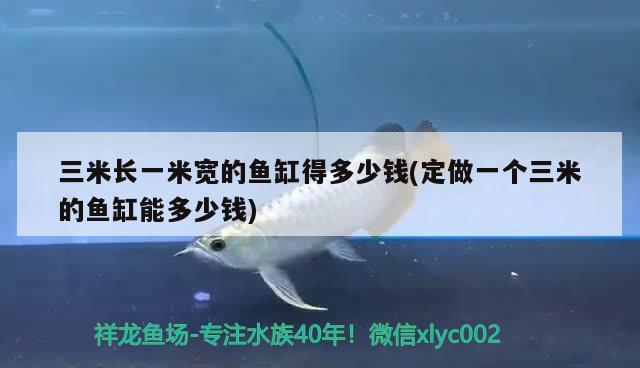 三米长一米宽的鱼缸得多少钱(定做一个三米的鱼缸能多少钱) 白子红龙鱼