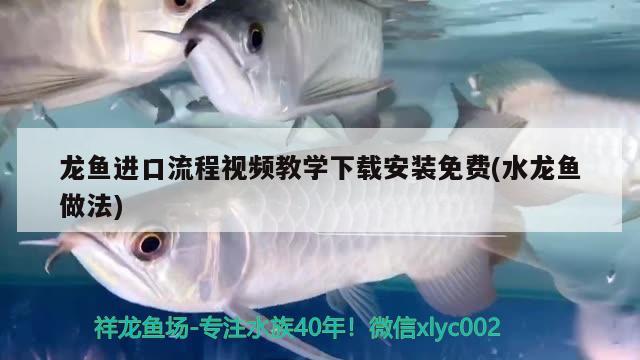 龙鱼进口流程视频教学下载安装免费(水龙鱼做法) 观赏鱼进出口