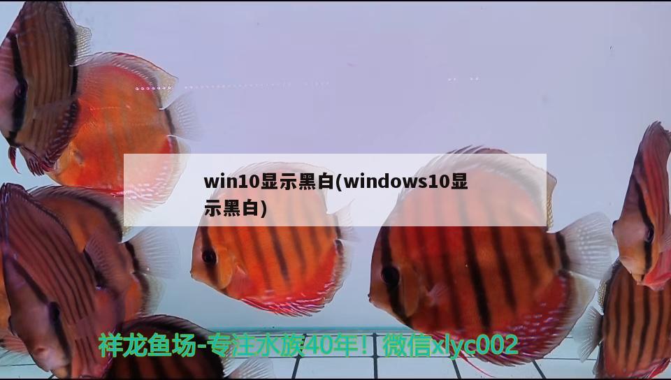 win10显示黑白(windows10显示黑白)