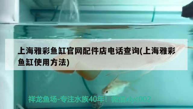上海雅彩鱼缸官网配件店电话查询(上海雅彩鱼缸使用方法)
