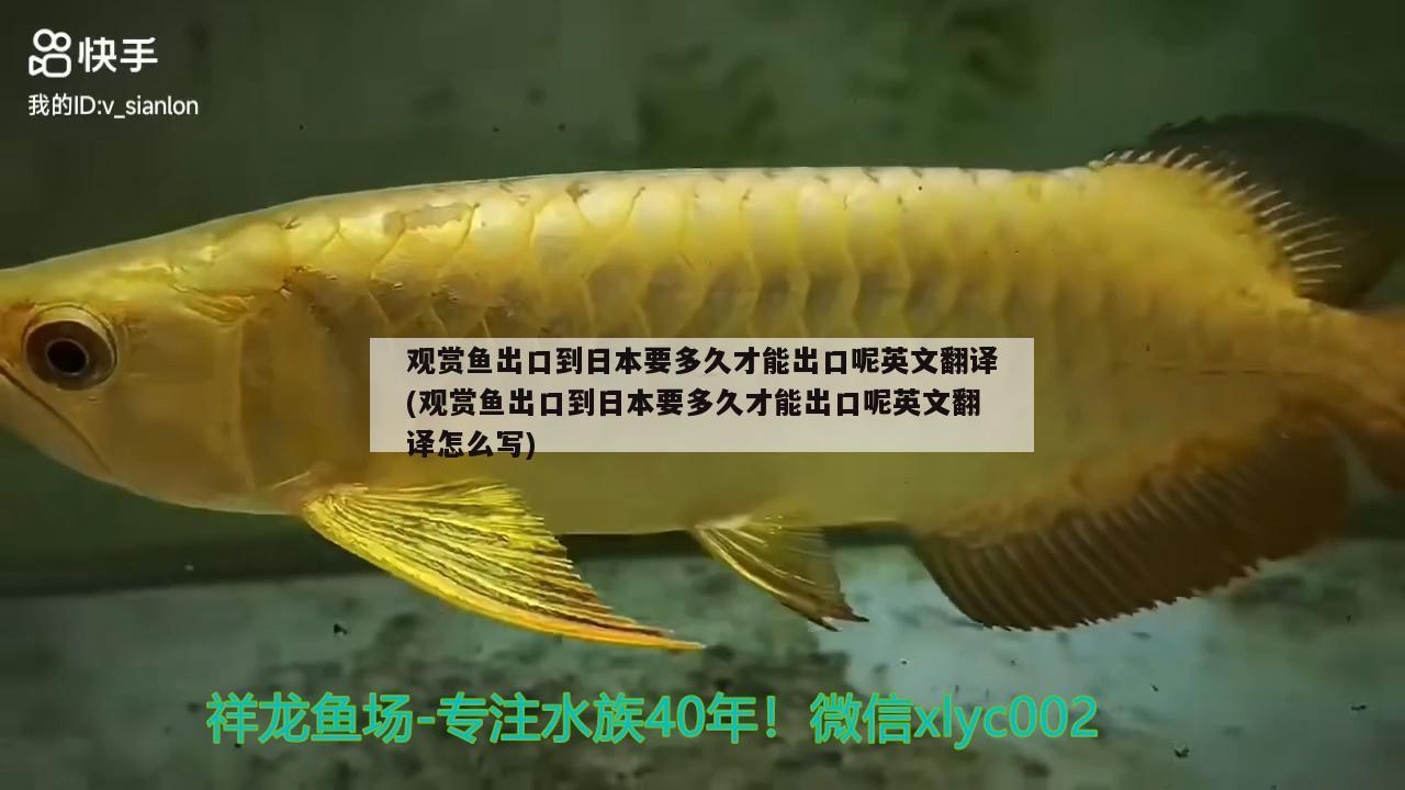 观赏鱼出口到日本要多久才能出口呢英文翻译(观赏鱼出口到日本要多久才能出口呢英文翻译怎么写) 观赏鱼进出口