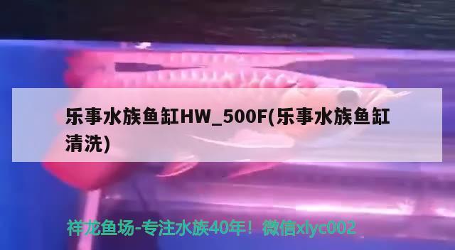 乐事水族鱼缸HW_500F(乐事水族鱼缸清洗)