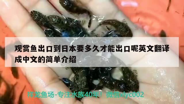观赏鱼出口到日本要多久才能出口呢英文翻译成中文的简单介绍