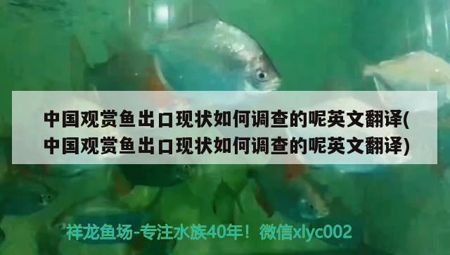 中国观赏鱼出口现状如何调查的呢英文翻译(中国观赏鱼出口现状如何调查的呢英文翻译)